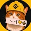 BNBCAT图标